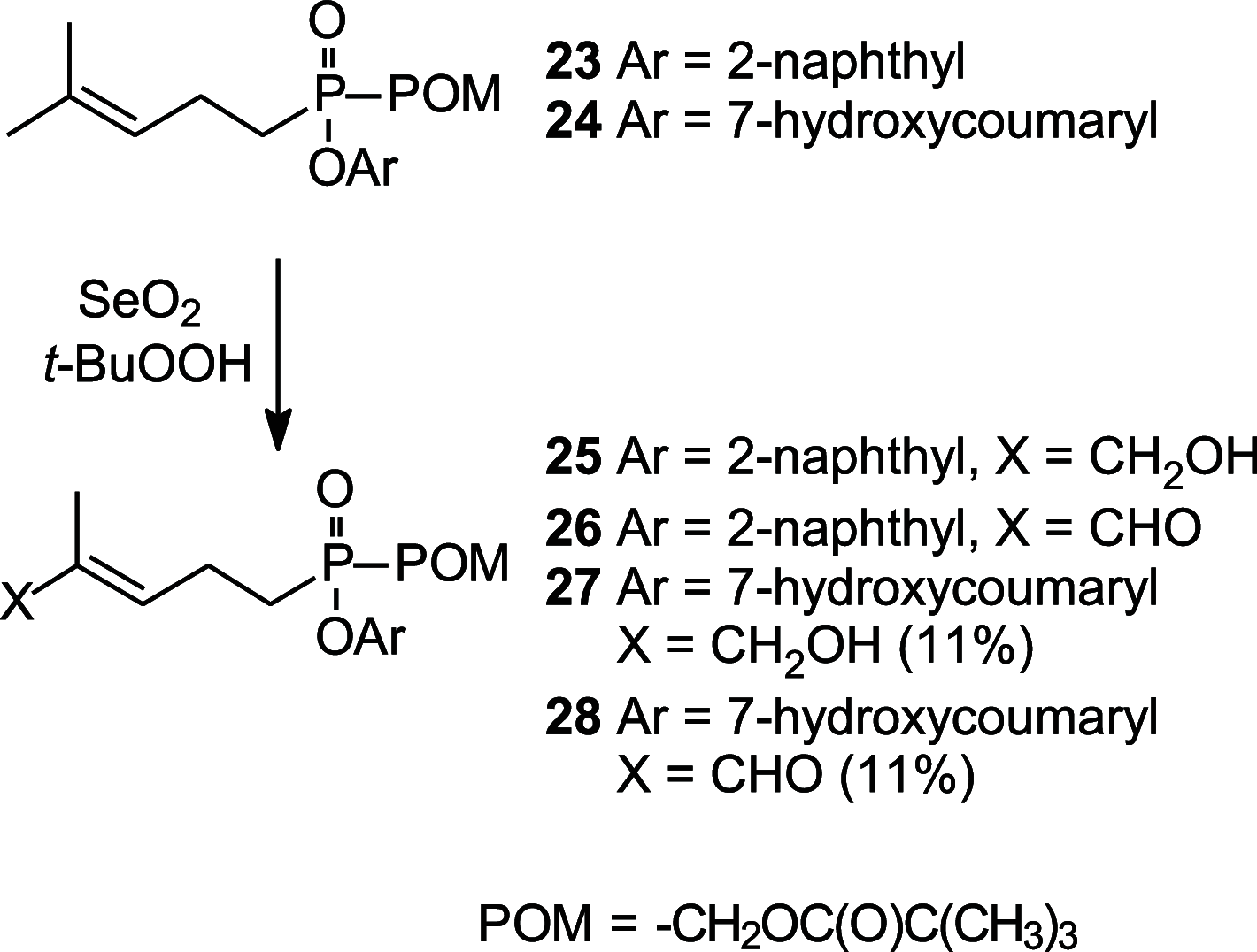 Scheme 5