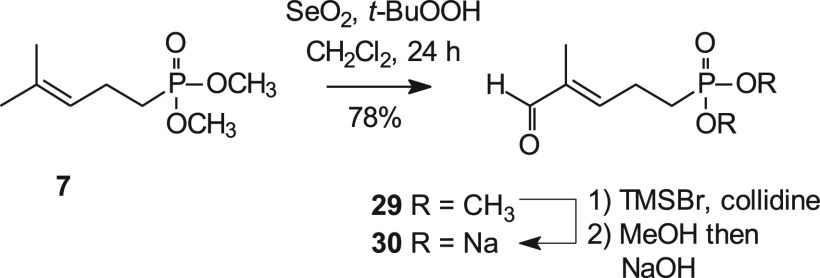 Scheme 6