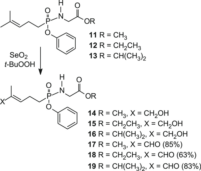 Scheme 2