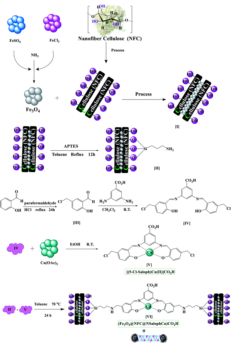 Scheme 3