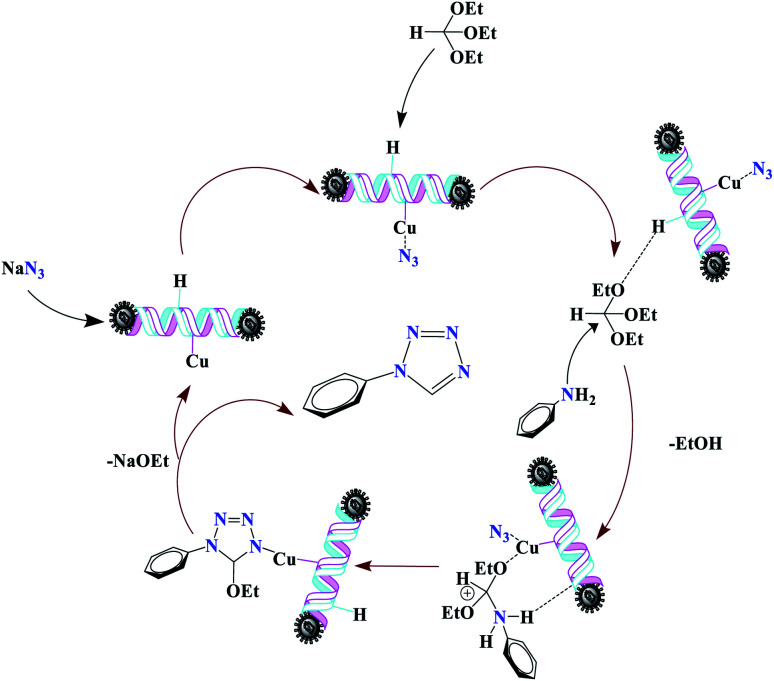 Scheme 5