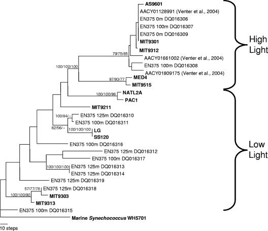 FIG. 5.