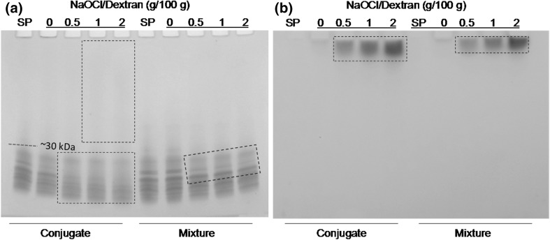 Fig. 4