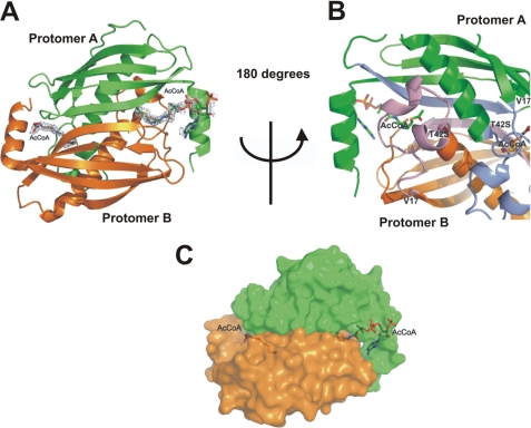 FIGURE 4.