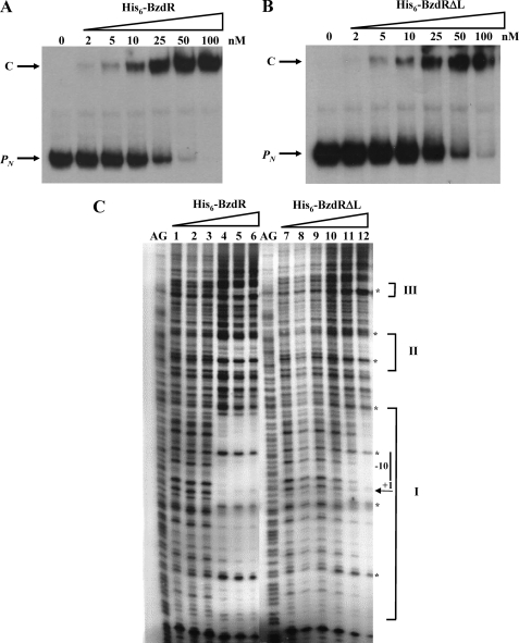 FIGURE 9.