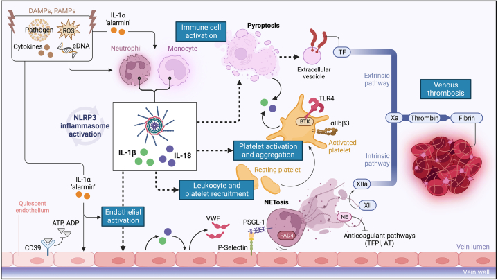 Figure 4