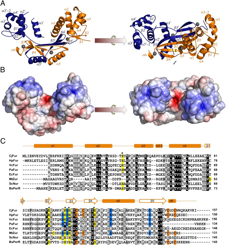 Fig. 3.