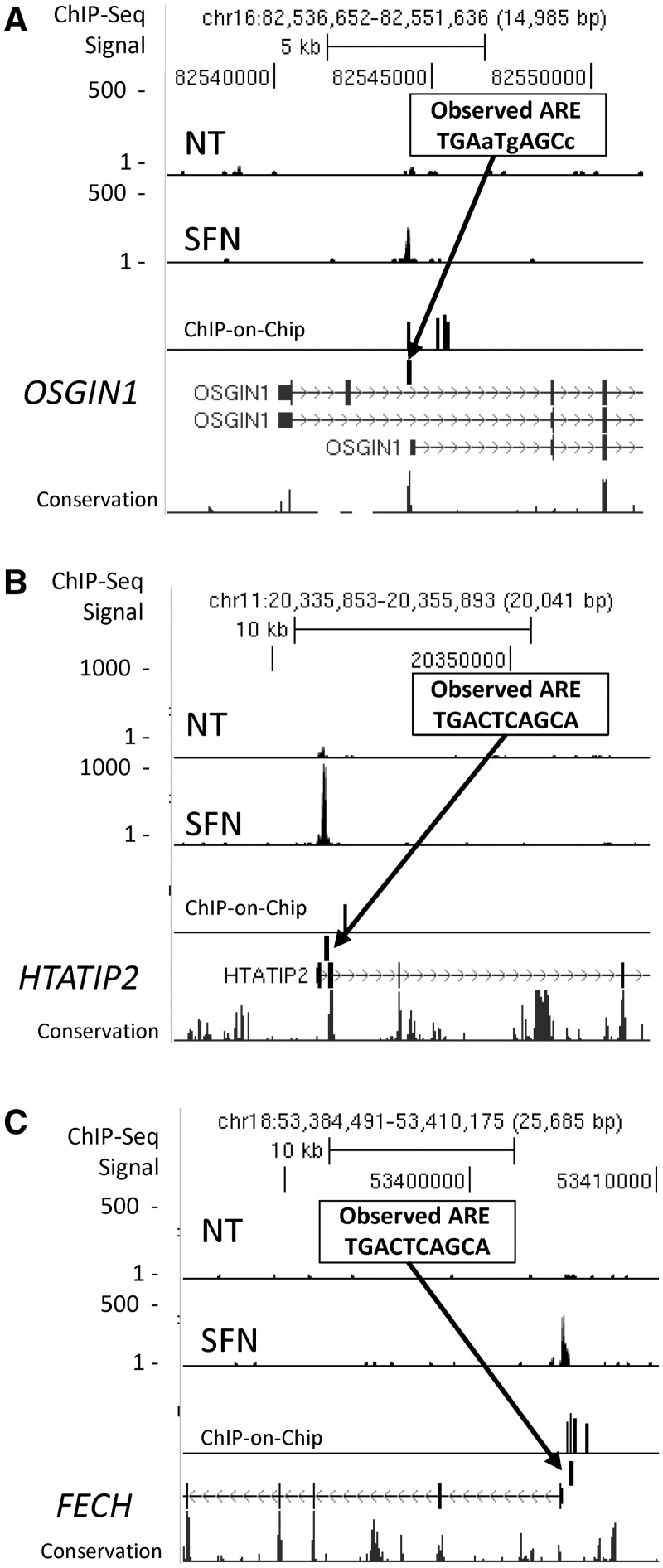 Figure 5.