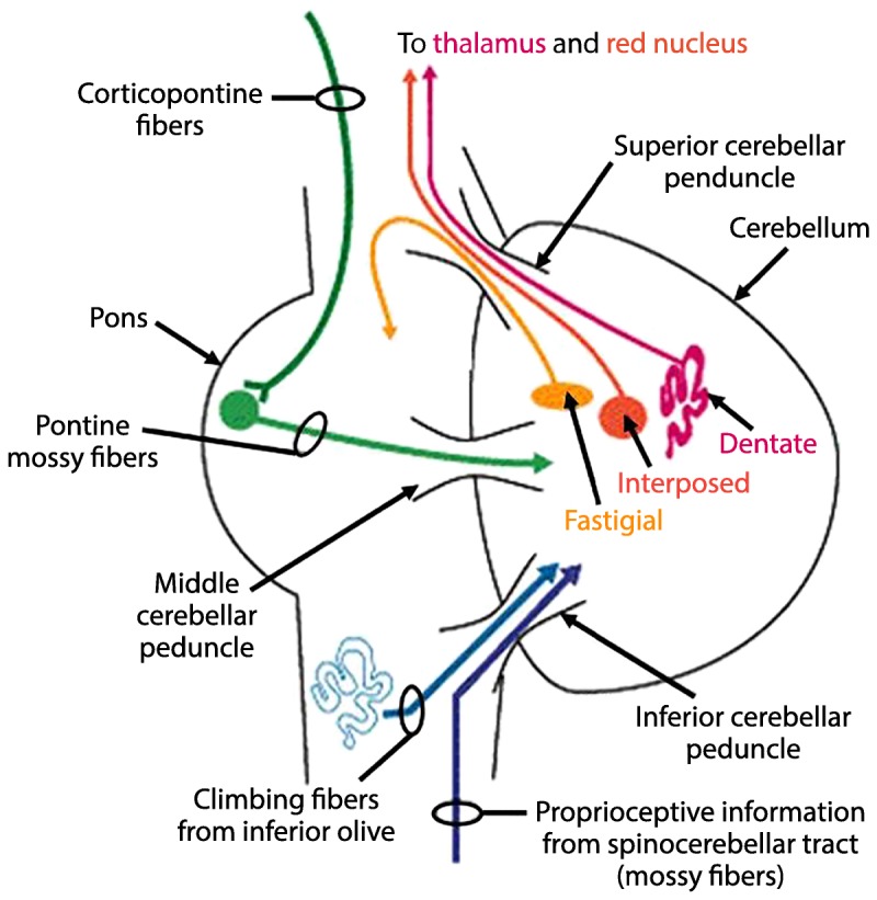 Figure 9-1