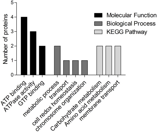 FIGURE 3