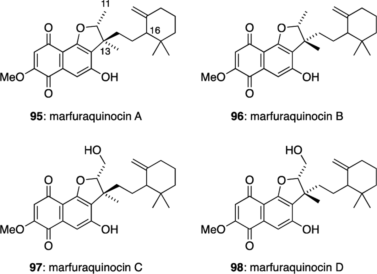 Figure 13.