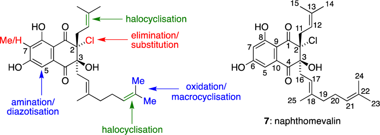 Figure 1.