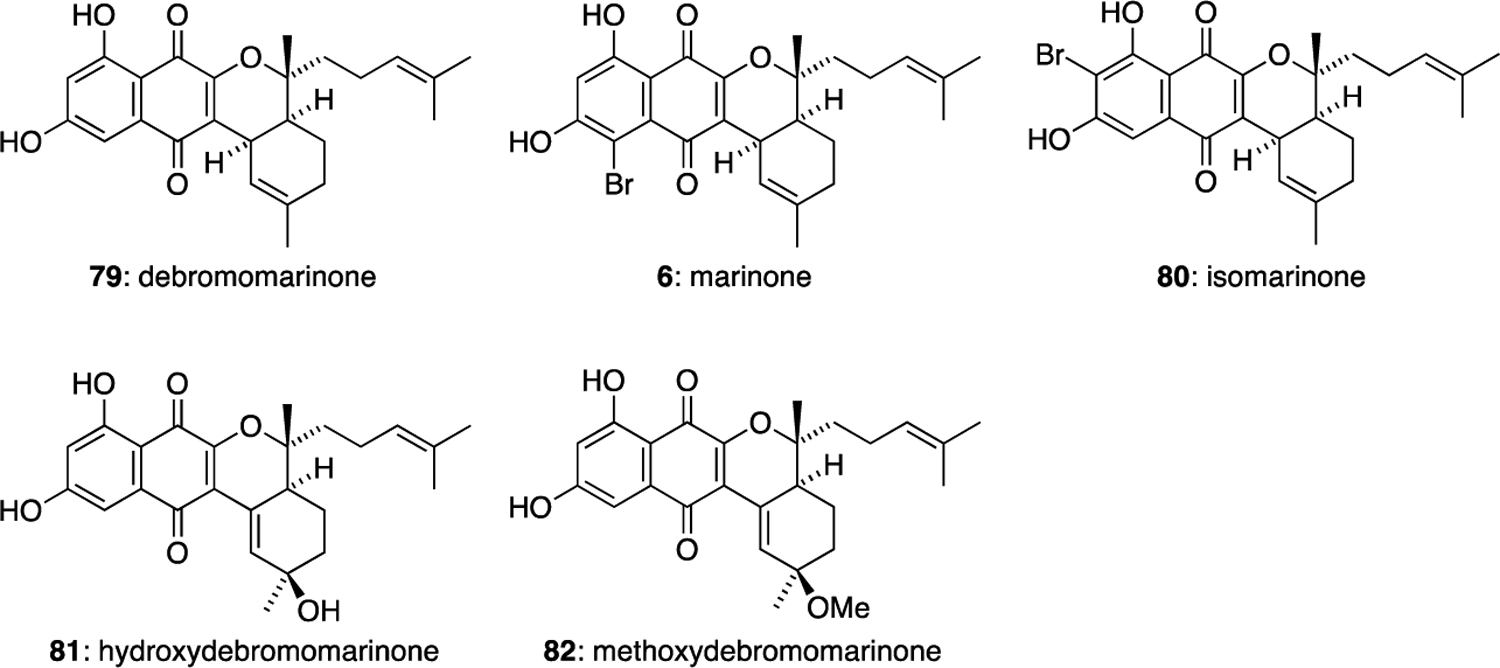 Figure 10.