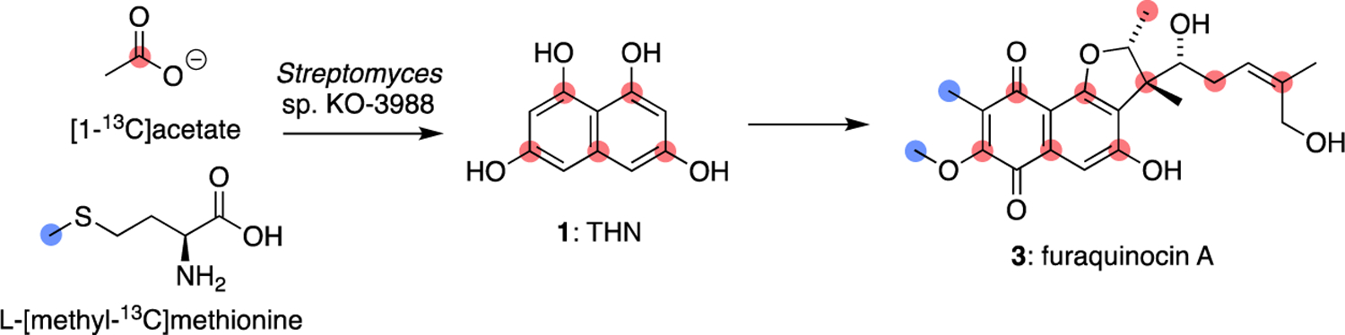 Figure 18.