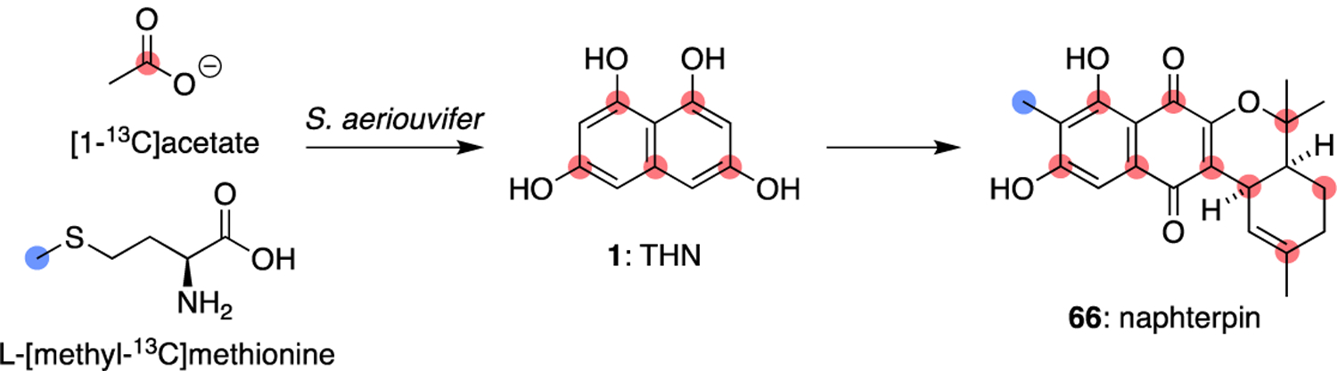 Figure 17.