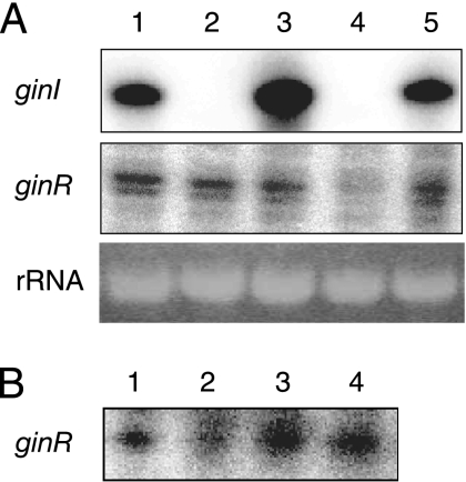 FIG. 5.