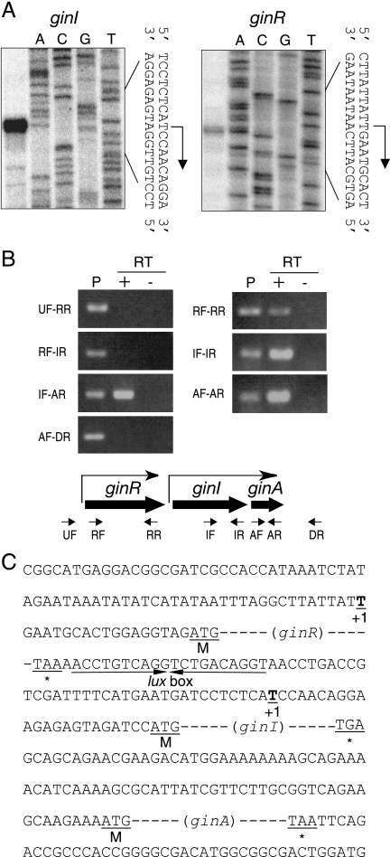 FIG. 6.