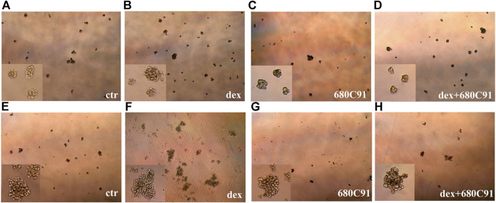 FIGURE 3