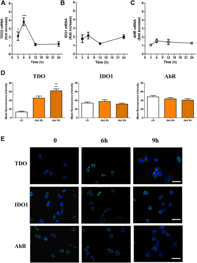 FIGURE 1