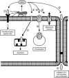 FIG. 7.