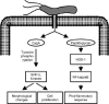 FIG. 6.