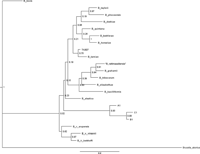 FIG. 1.