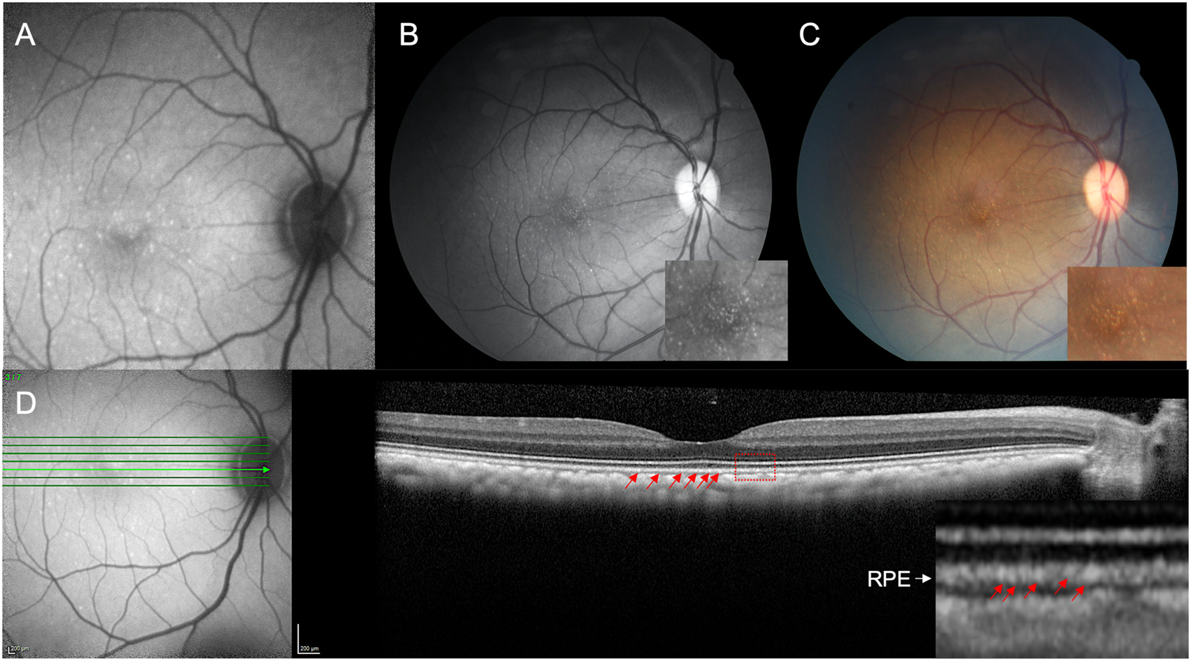 Fig. 4.