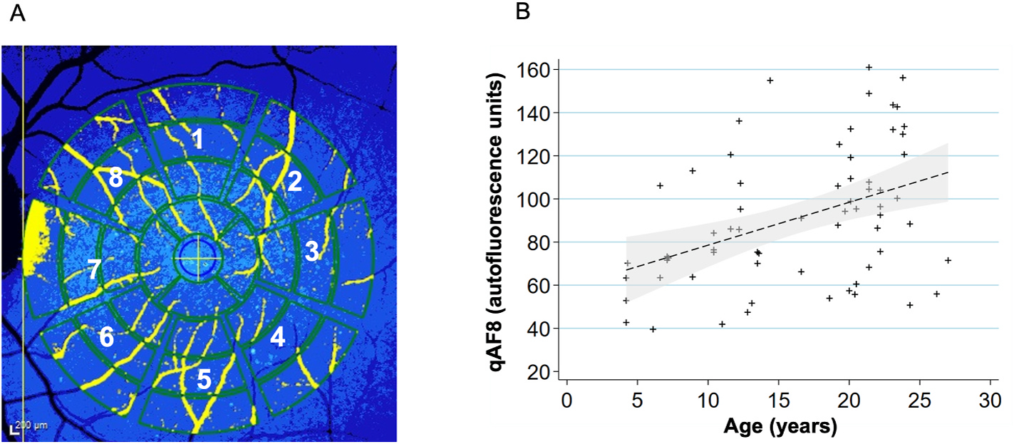 Fig. 8.