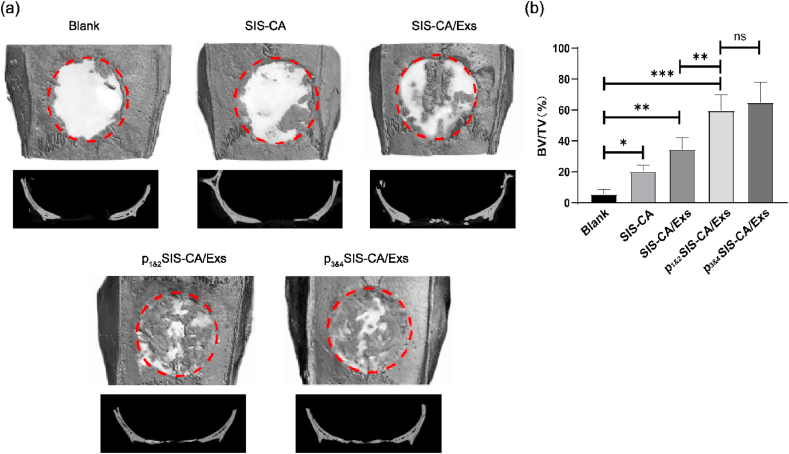 Fig. 7