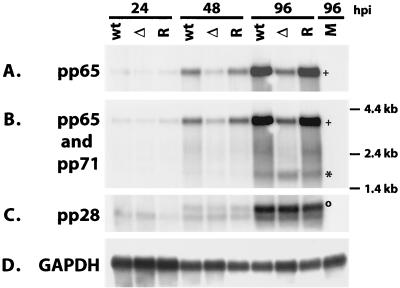 FIG. 14.