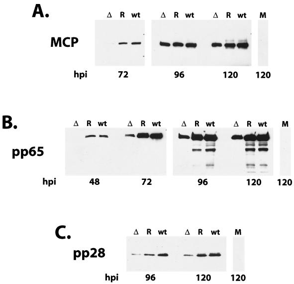 FIG. 11.