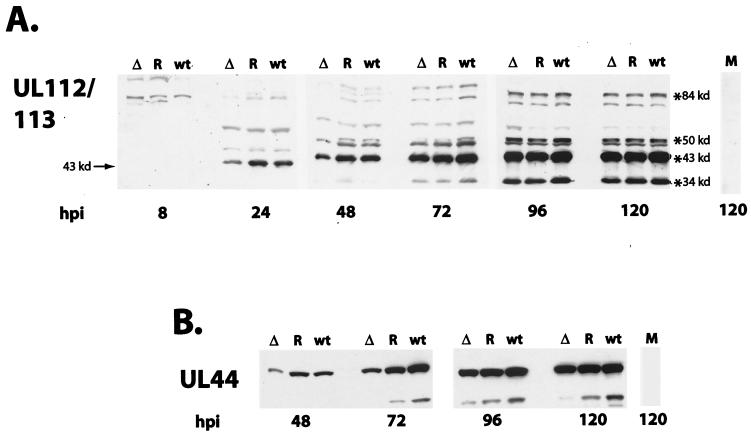 FIG. 8.