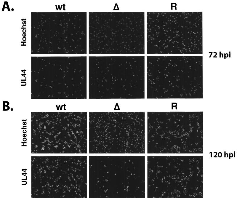 FIG. 9.