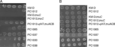 Fig 4