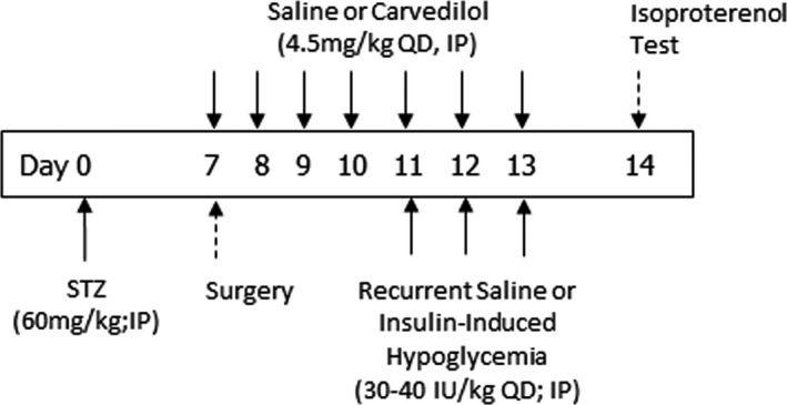 FIGURE 2