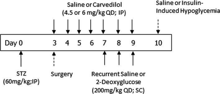 FIGURE 3