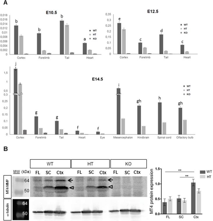 Fig 4