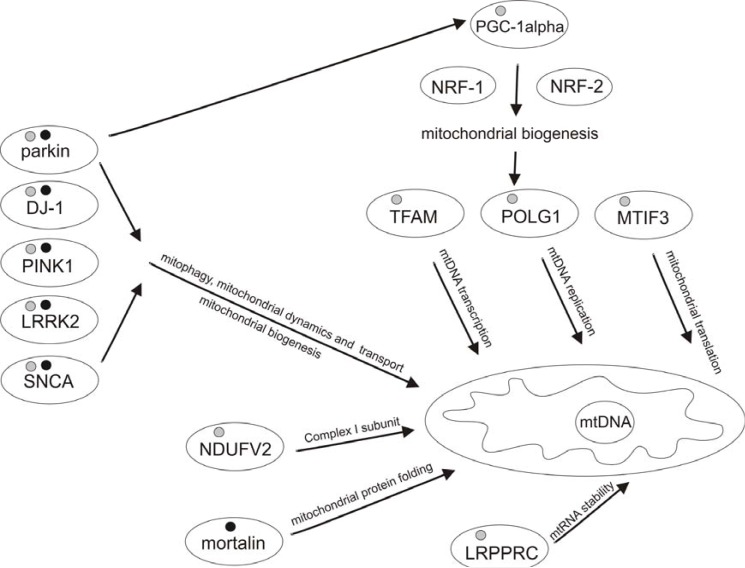 Fig. (2)