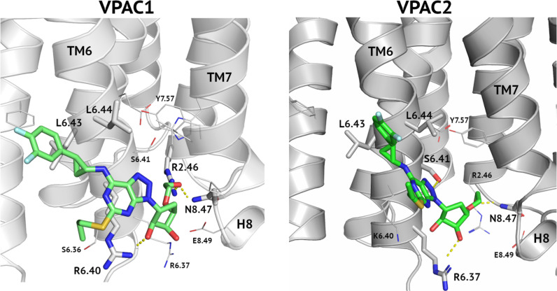 Figure 5