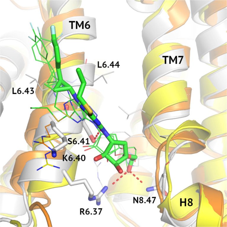 Figure 6