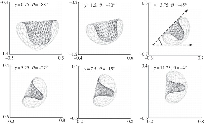 Figure 12.