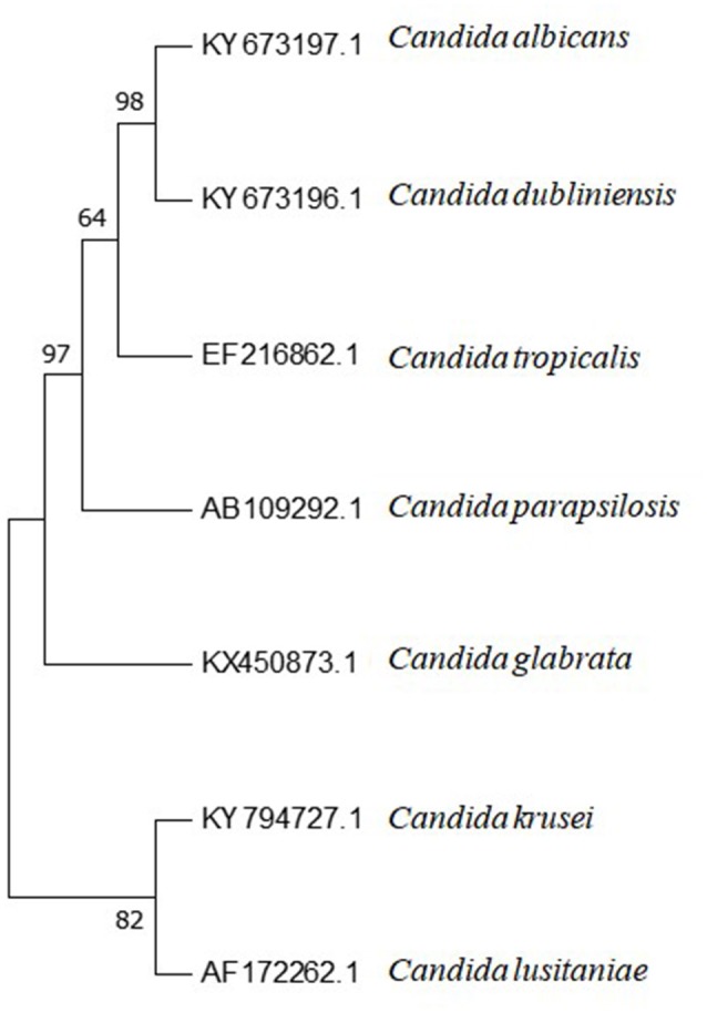 Figure 2