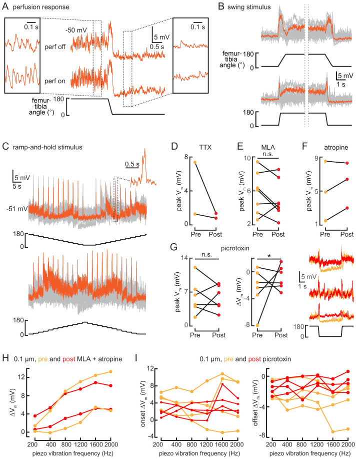 Figure 7—figure supplement 1.