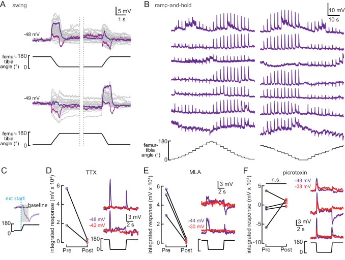 Figure 4—figure supplement 1.