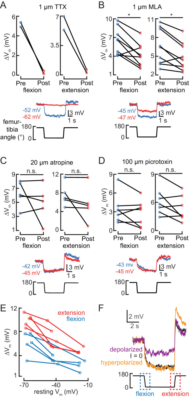 Figure 2—figure supplement 1.