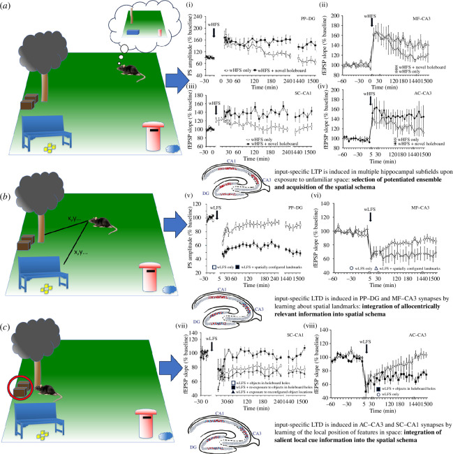 In this concept, a rat is introduced to a completely novel spatial environment where high-contrast items (tree, park bench and letterbox) can be perceived from their initial positions without the need for visual acuity