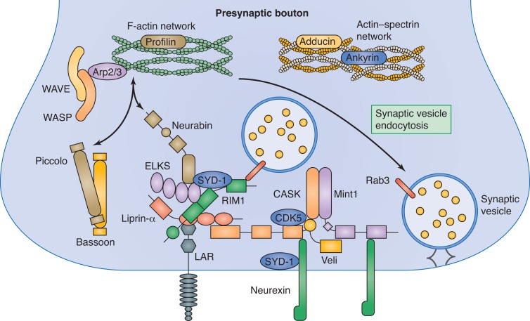 Figure 2.