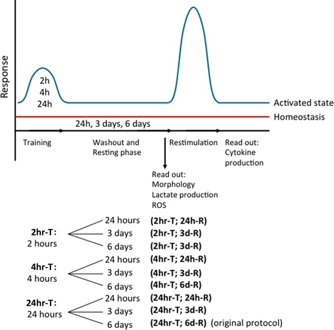 FIG 1