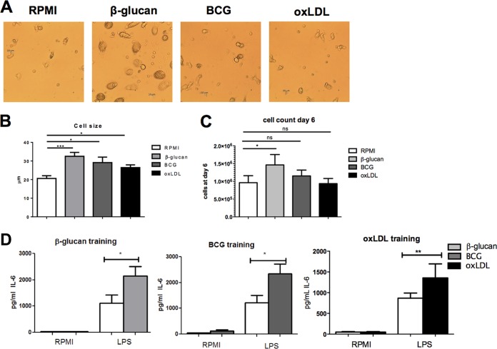 FIG 3