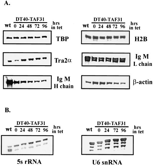 FIG. 7